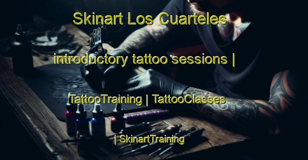 Skinart Los Cuarteles introductory tattoo sessions | TattooTraining | TattooClasses | SkinartTraining-Mexico